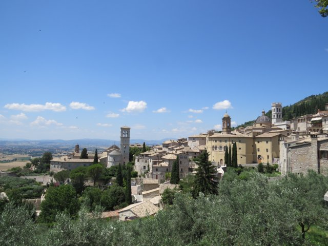 assisi12.jpg