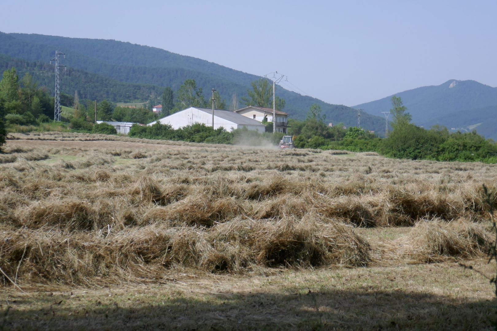 Dolina proti Pamploni