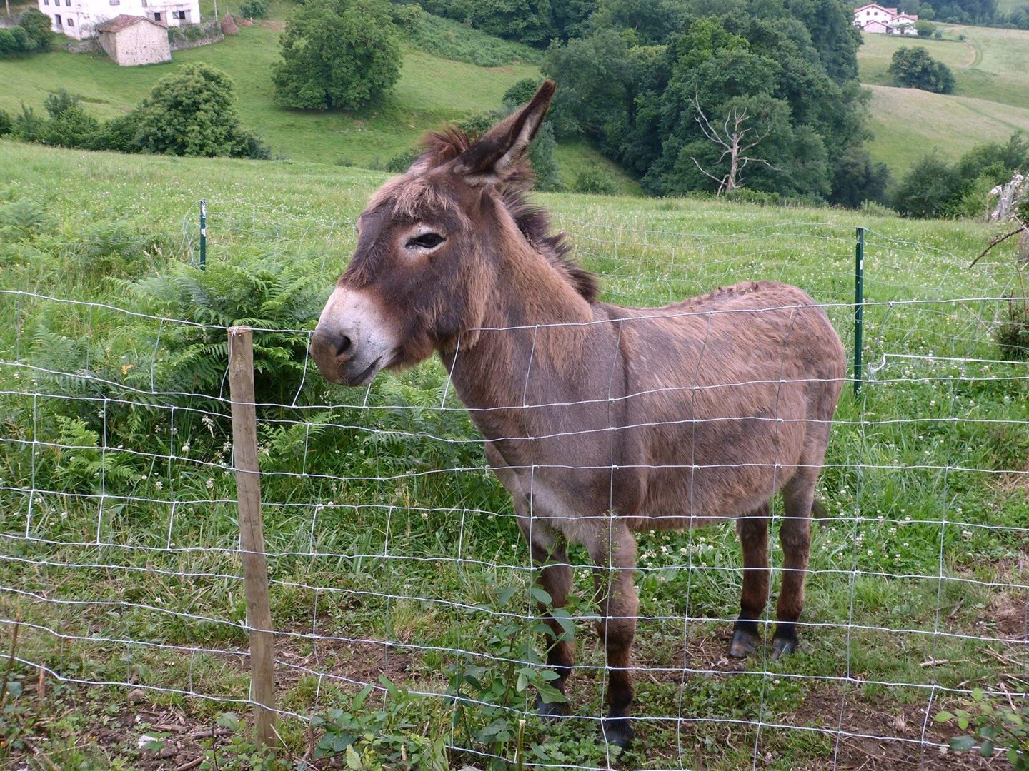 Končno nekdo ki mi je podoben