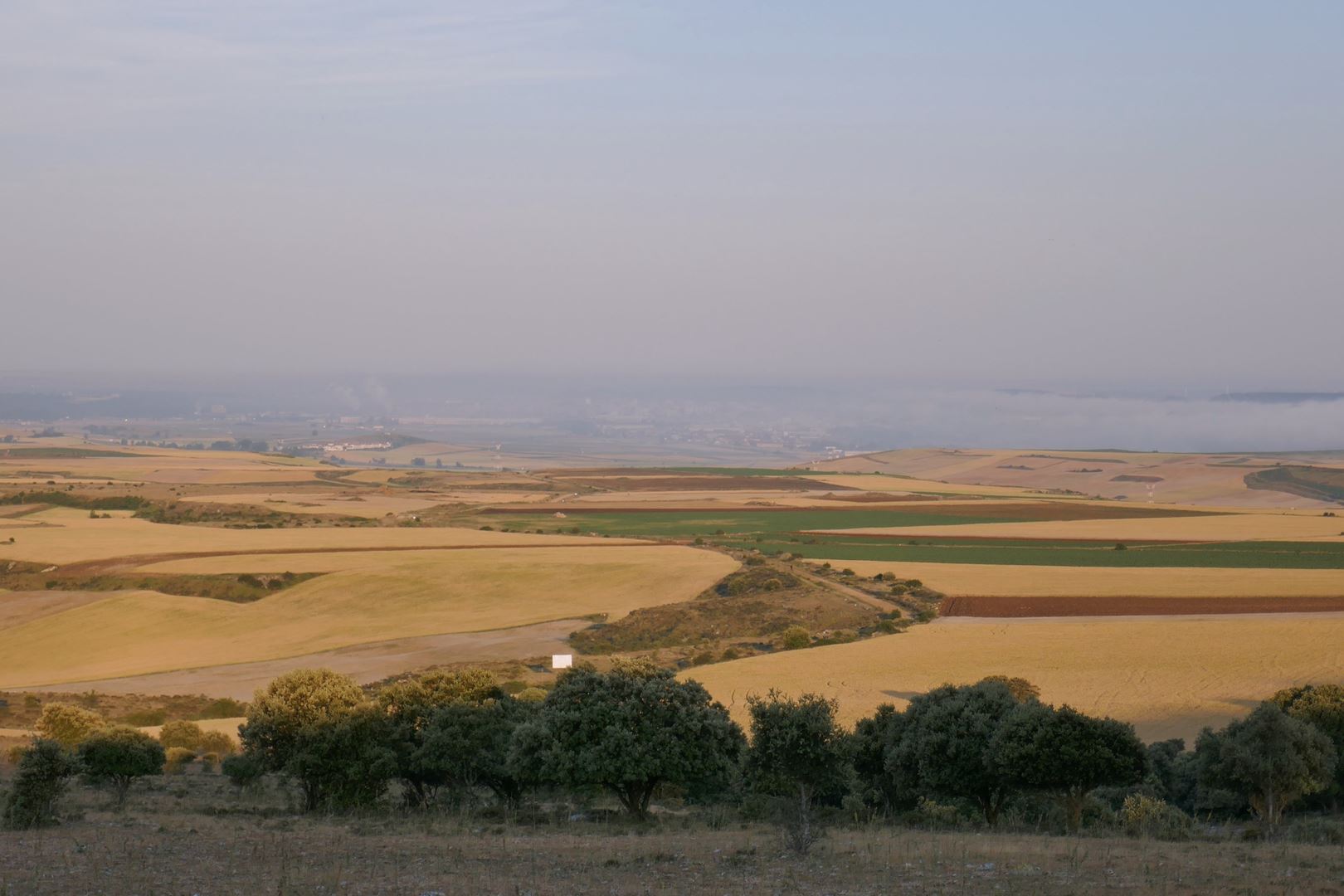 Pogled naprej na Meseto