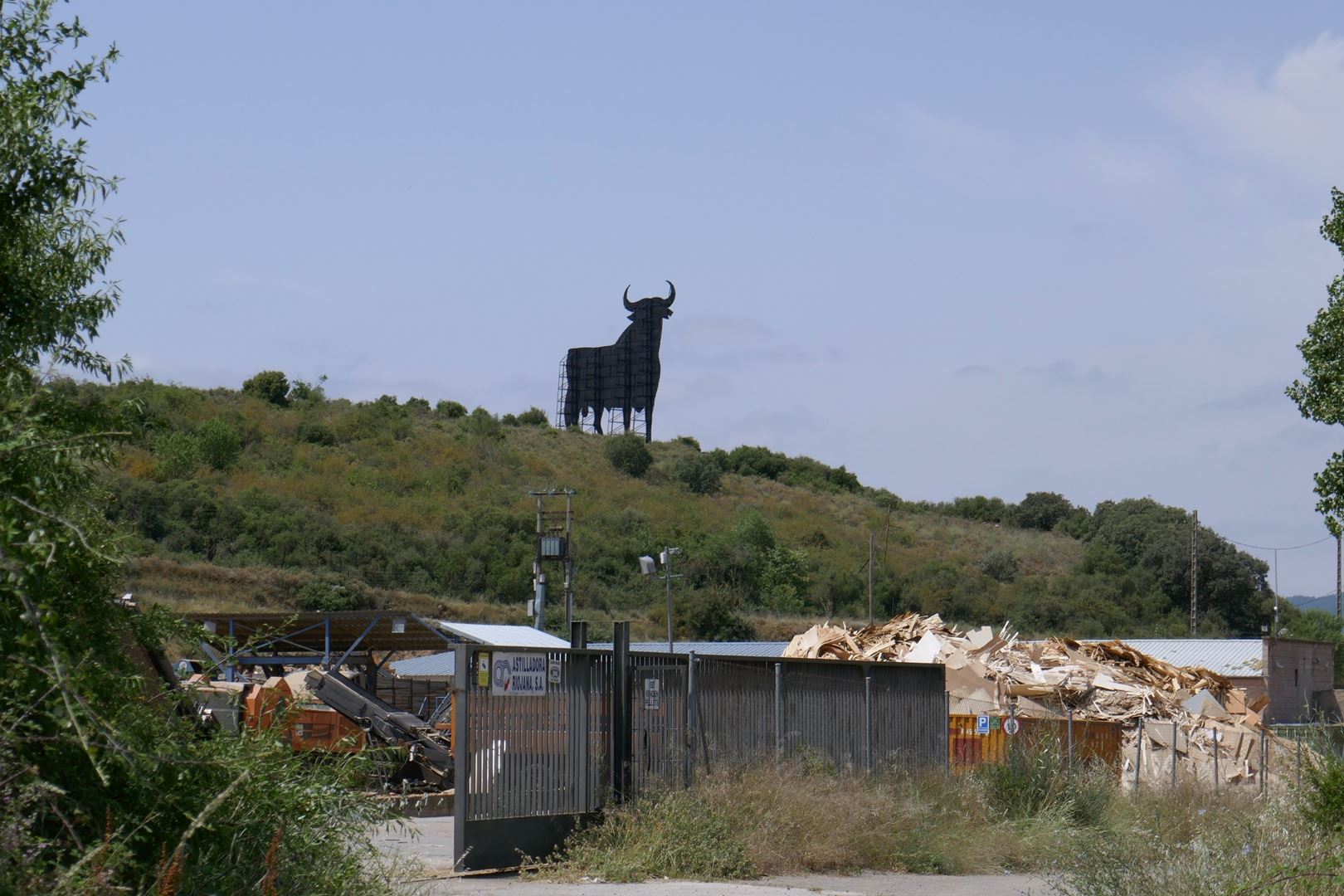 Črni Bik