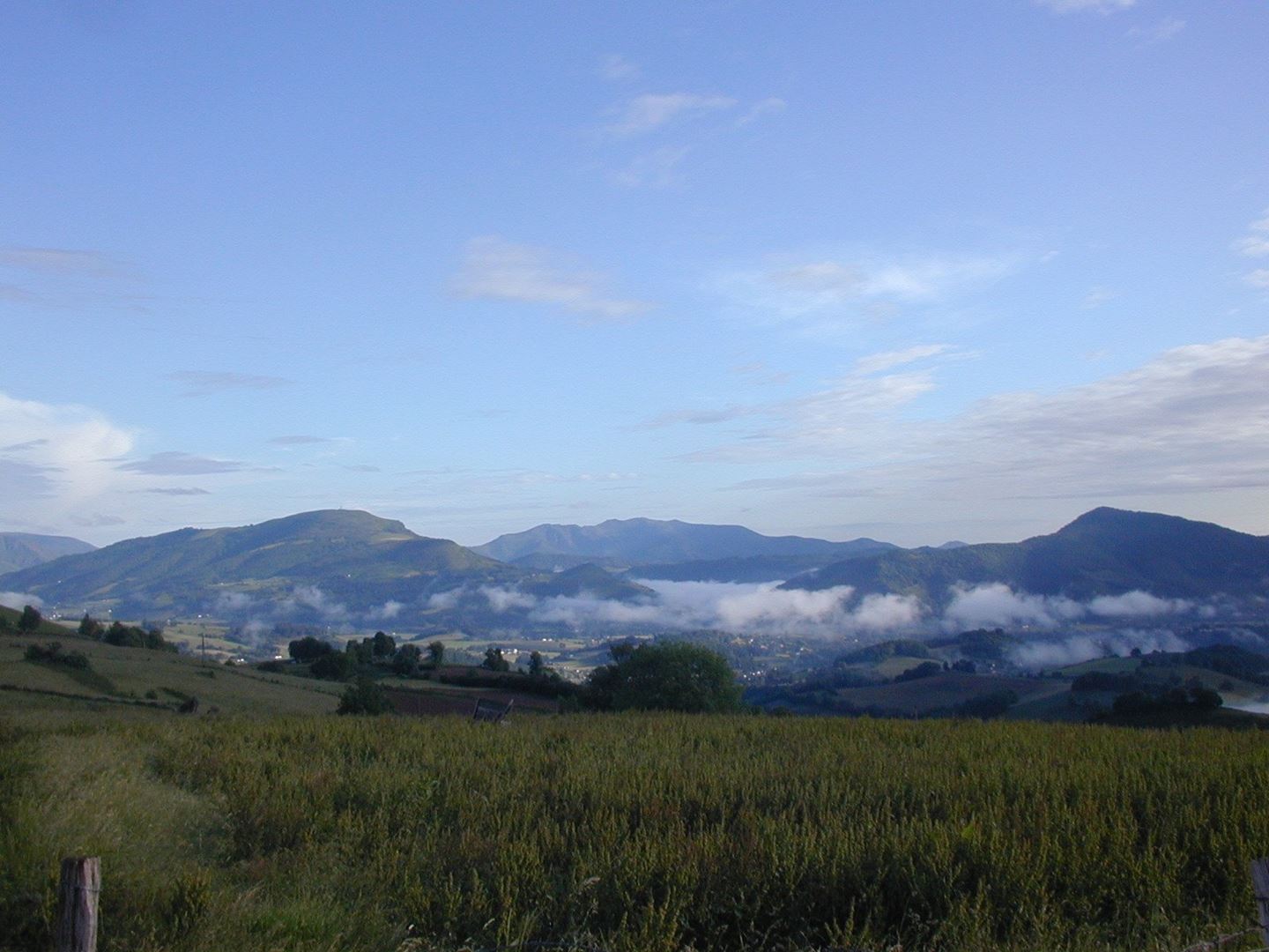 V ozadju Pireneji